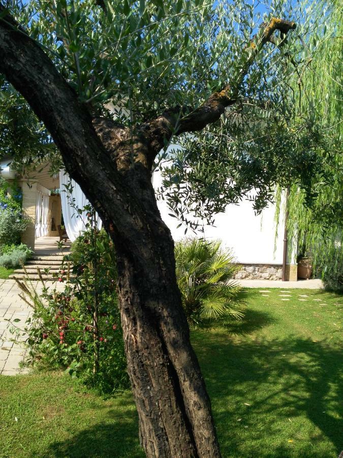 I Salici Villa Marina di Massa Bagian luar foto